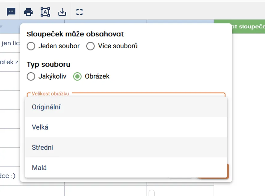 Nastavení souborového sloupečku s vybraným typem „Obrázek“ a rozbalenou nabídkou velikosti obrázku